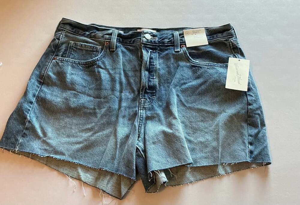 Universal Thread 90s Baggy Shorts